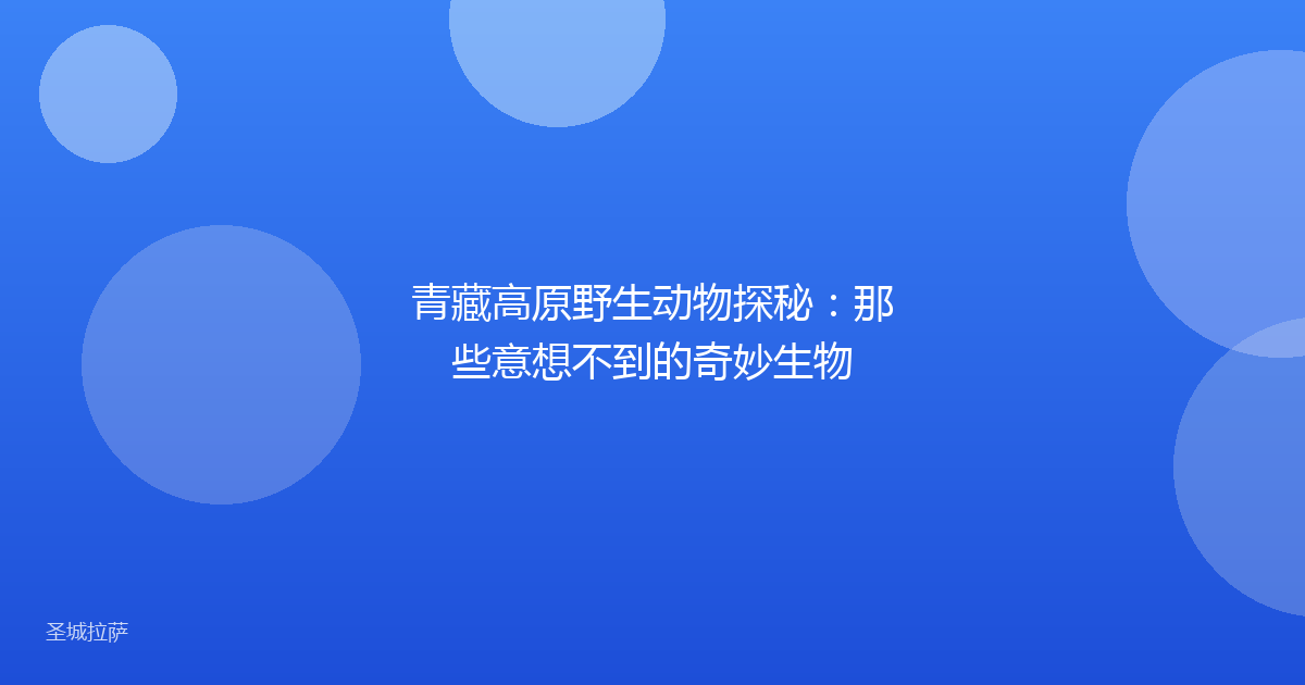 青藏高原野生动物探秘:那些意想不到的奇妙生物
