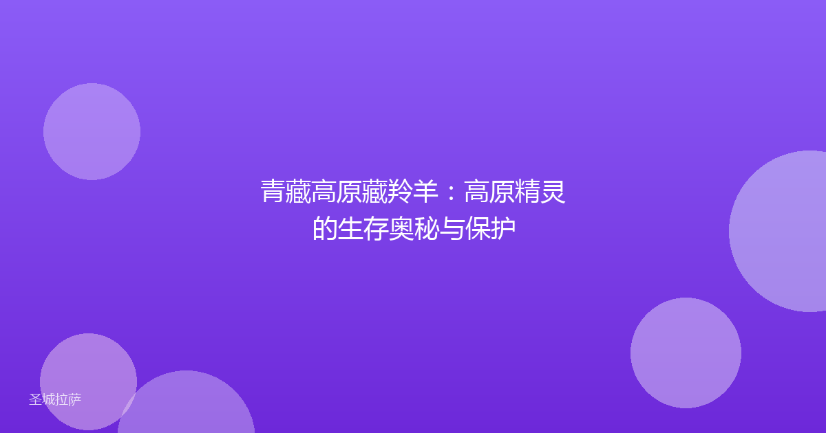 青藏高原藏羚羊:高原精灵的生存奥秘与保护