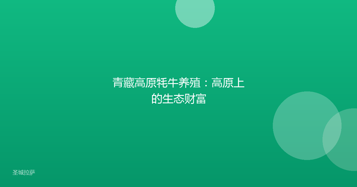 青藏高原牦牛养殖:高原上的生态财富