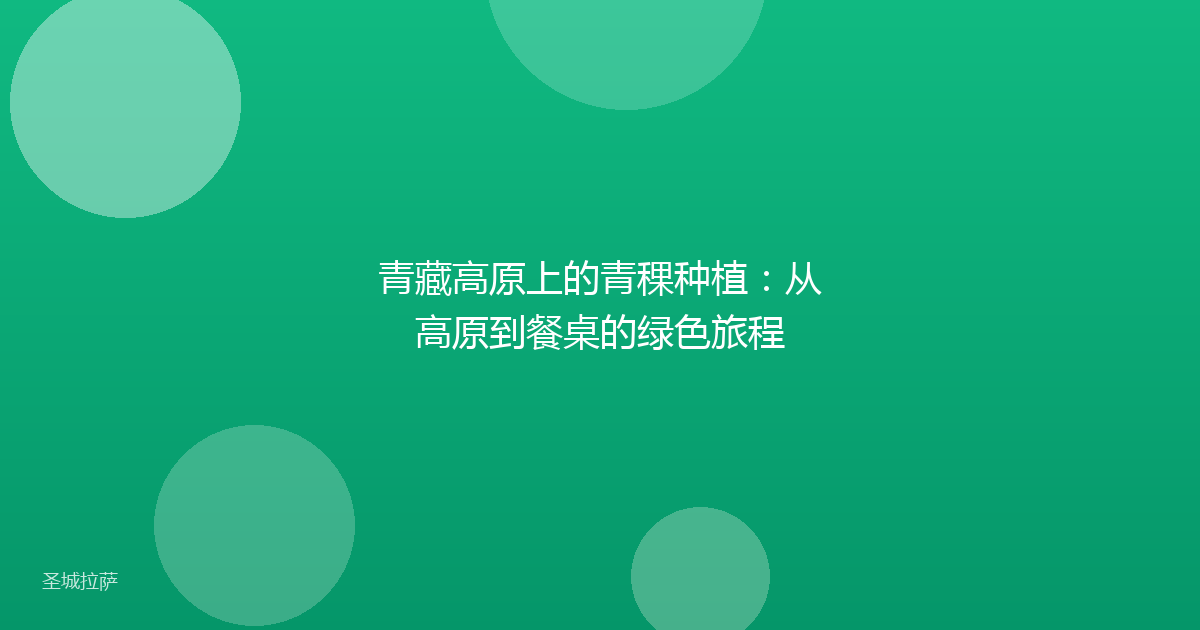 青藏高原上的青稞种植:从高原到餐桌的绿色旅程